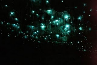 http://2.bp.blogspot.com/-hIqKO4l2tdk/TaadX5lsP_I/AAAAAAAABb8/e9fczvcb4og/s1600/glow-worm-cave-1.jpg