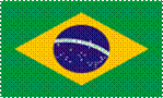 125px-Flag_of_Brazil.svg.png