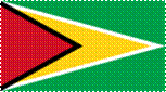 125px-Flag_of_Guyana.svg.png