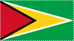 125px-Flag_of_Guyana.svg.png